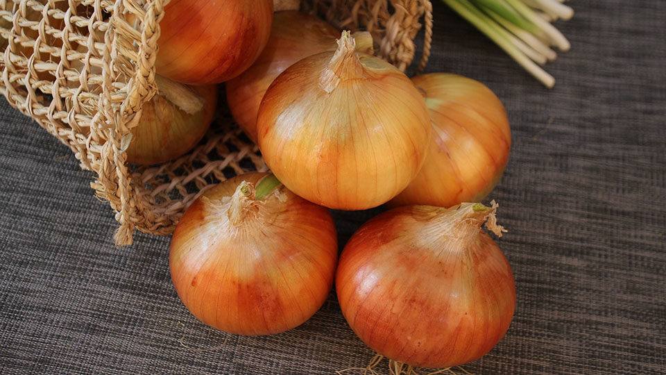 Cebula!